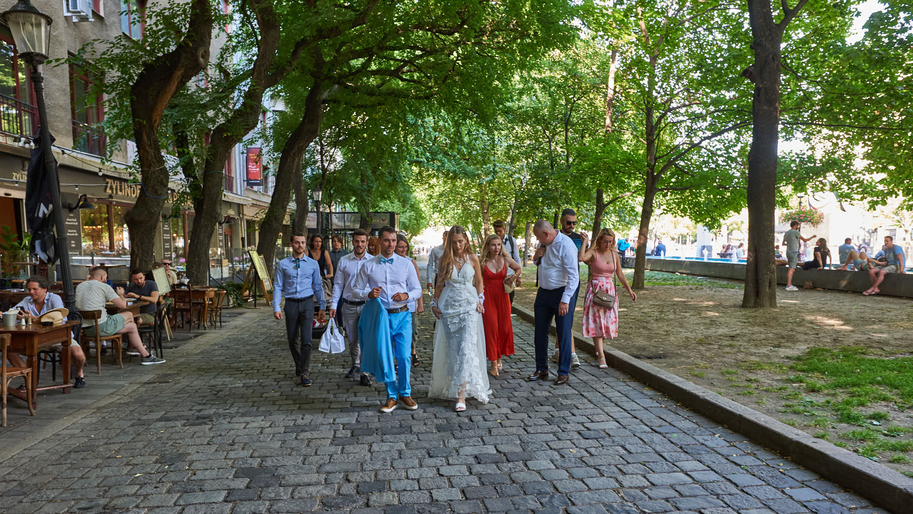 Die ganze Hochzeitsgesellschaft zieht weiter | The whole wedding party moves on