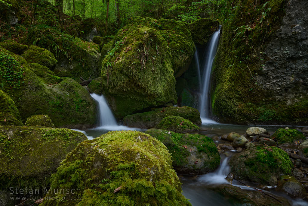 20220423 Chastelbach 006