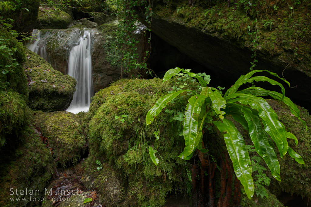 20220626 Landschaftsfotografie Wasser 002
